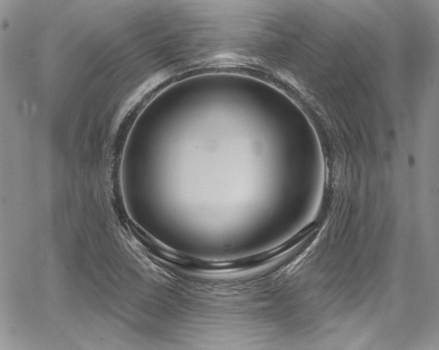 X0000068271410200604211058