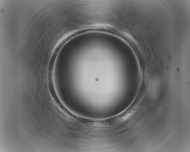 X0000068271412200604211058