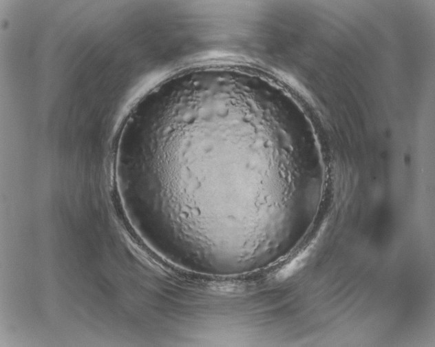 X0000068271413200604211058