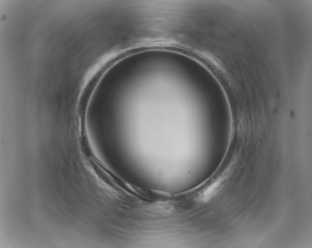 X0000068271414200604211058