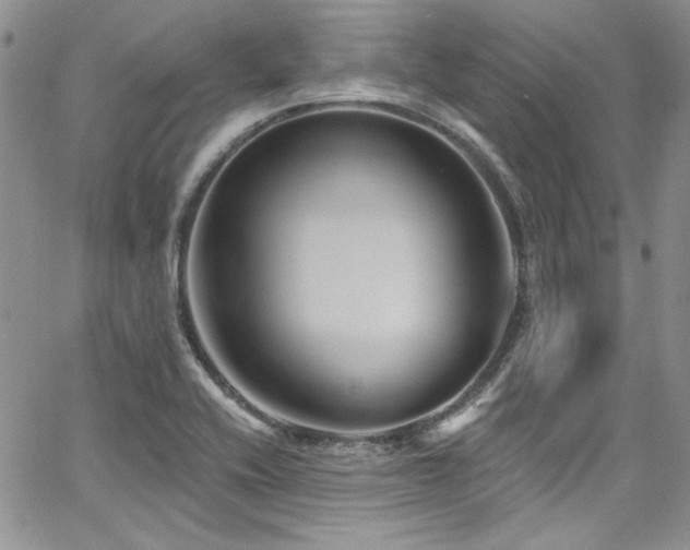 X0000068271416200604211058