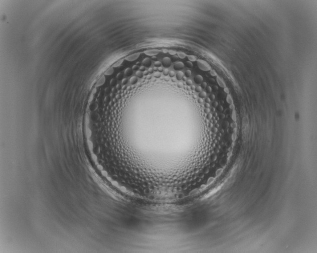 X0000068271417200604211058