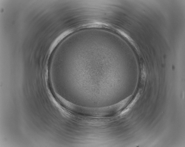 X0000068271418200604211058