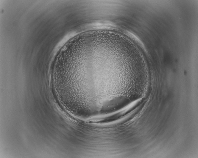 X0000068271419200604211058