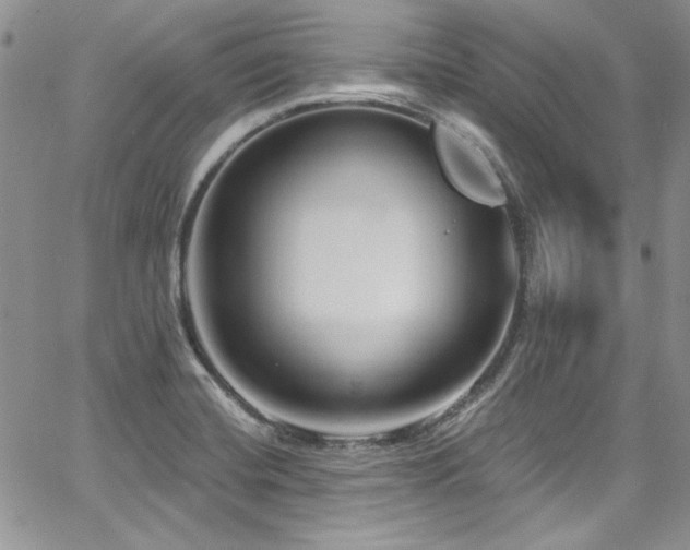 X0000068271420200604211058