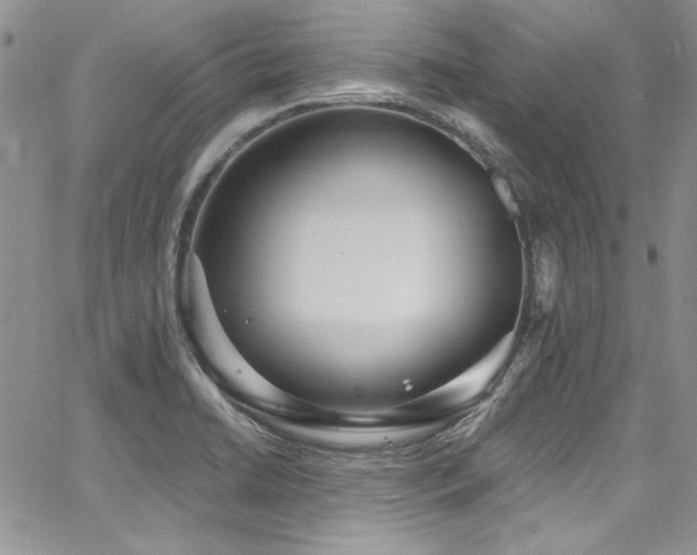 X0000068271422200604211058