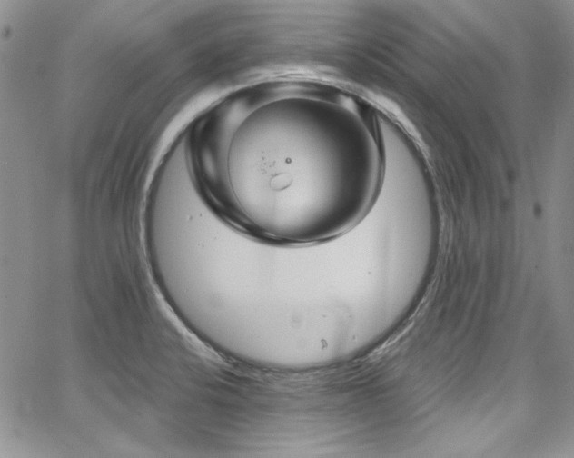 X0000068271424200604211058