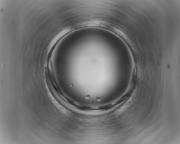 X0000068271426200604211059