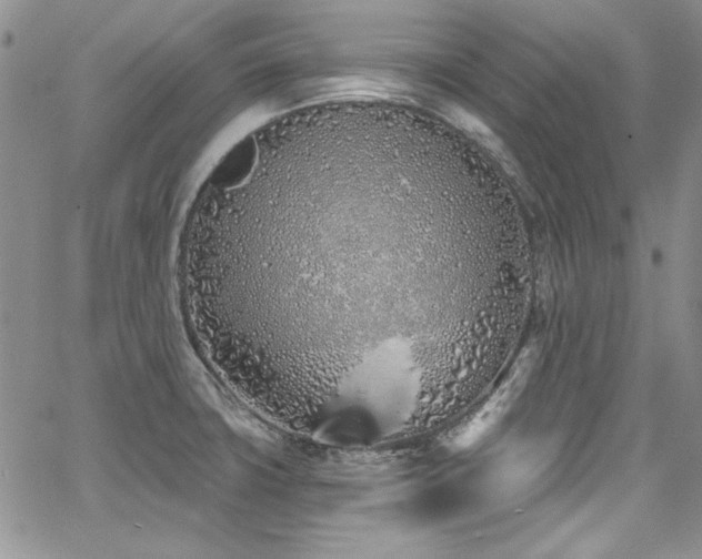 X0000068271427200604211059