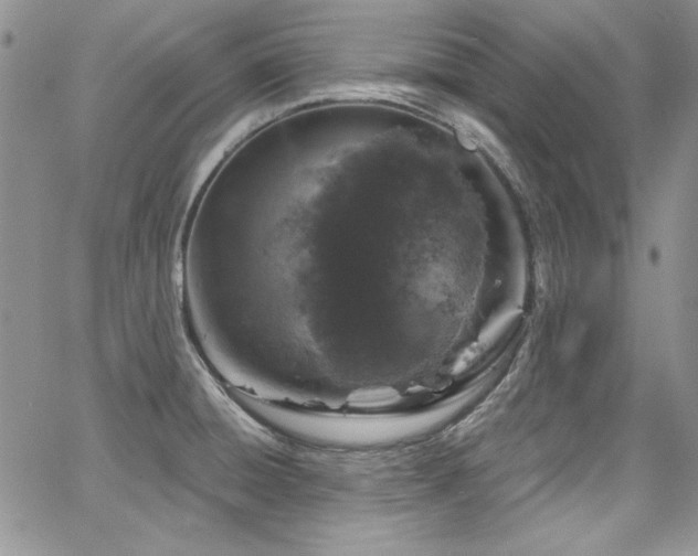 X0000068271428200604211059