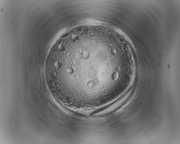 X0000068271429200604211059