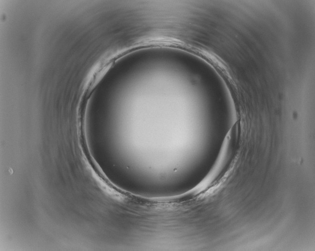 X0000068271430200604211059