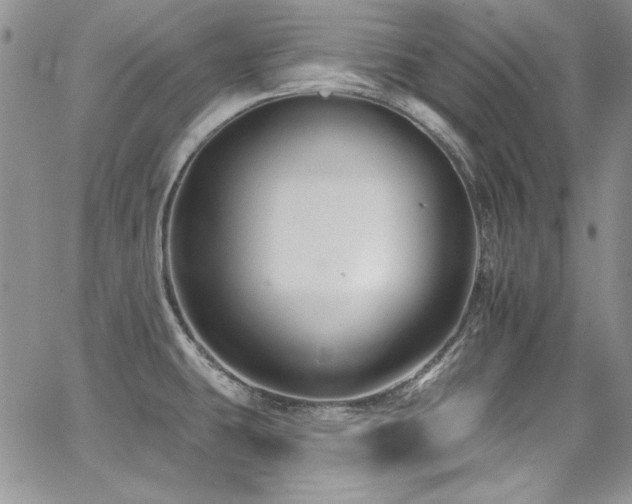 X0000068271431200604211059