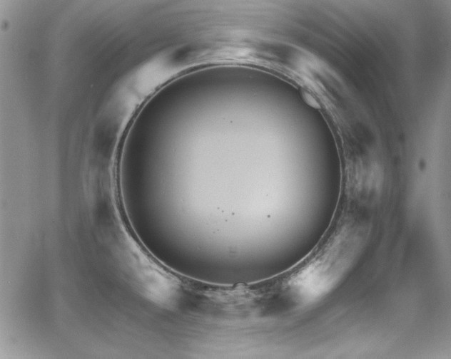 X0000068271432200604211059