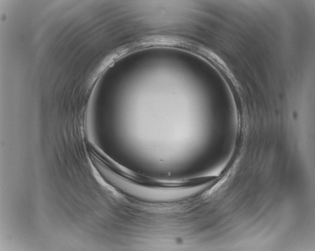 X0000068271433200604211059