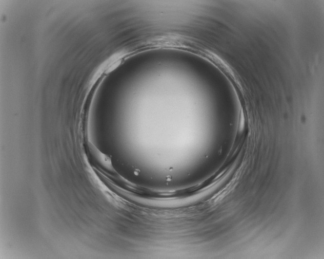 X0000068271434200604211059