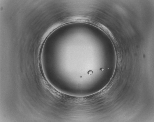 X0000068271435200604211059