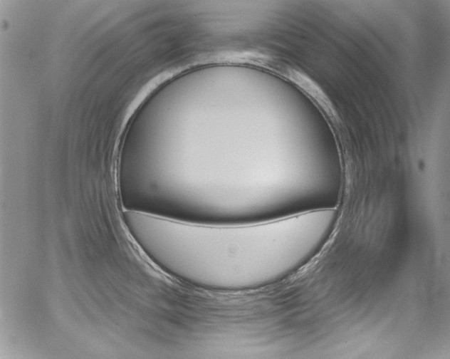 X0000068271436200604211059