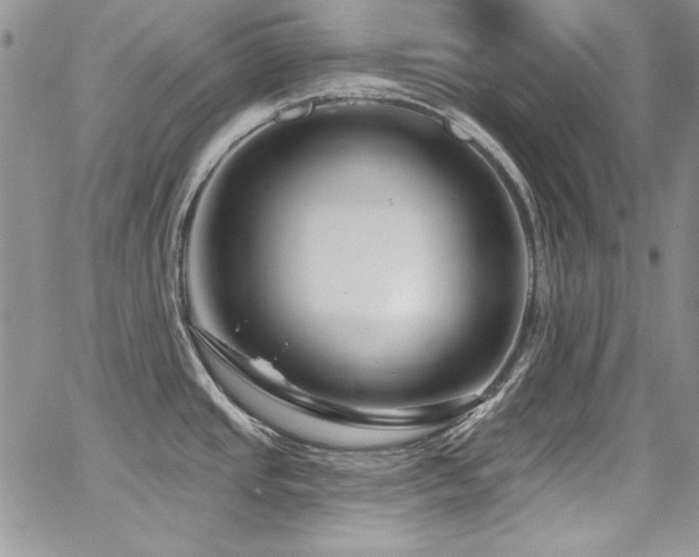 X0000068271437200604211059