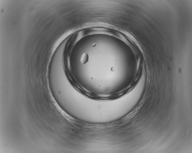 X0000068271438200604211059