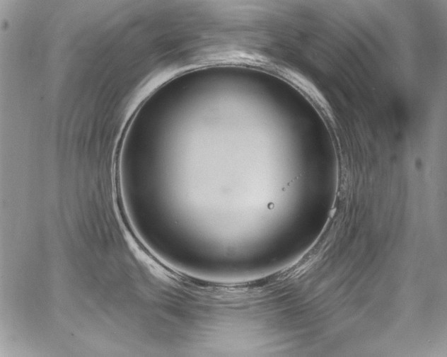 X0000068271439200604211059