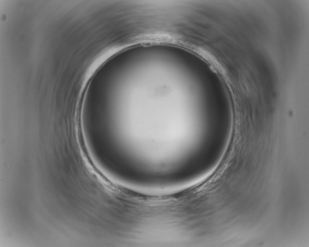 X0000068271440200604211059