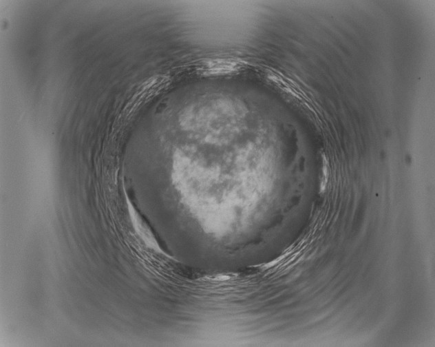 X0000068271441200604211058