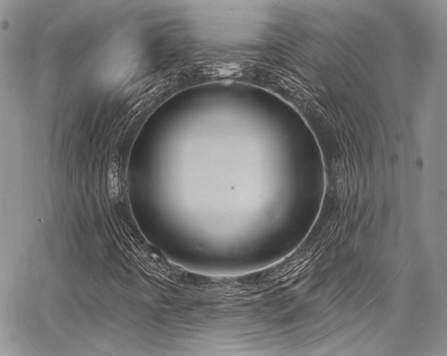 X0000068271442200604211058