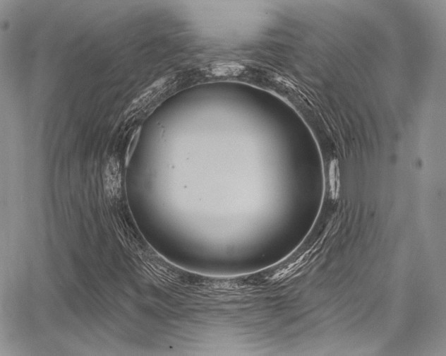 X0000068271443200604211058