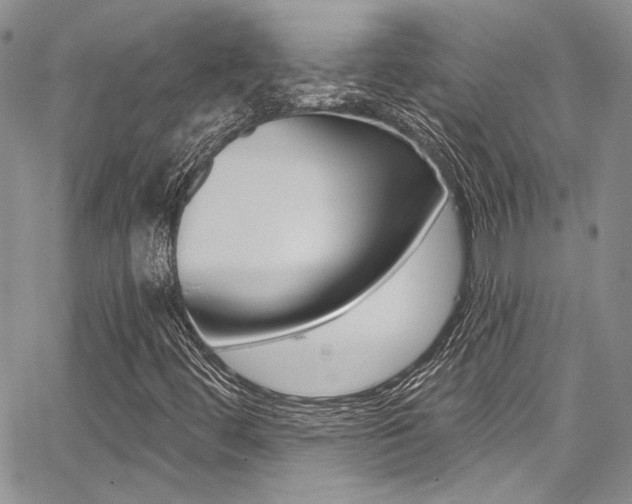 X0000068271444200604211058