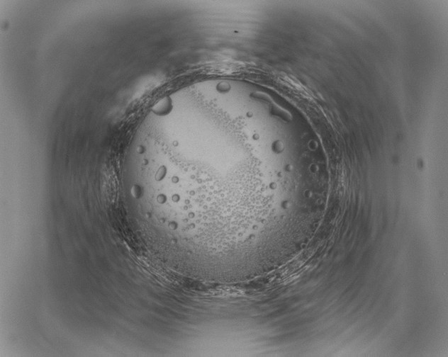 X0000068271446200604211058