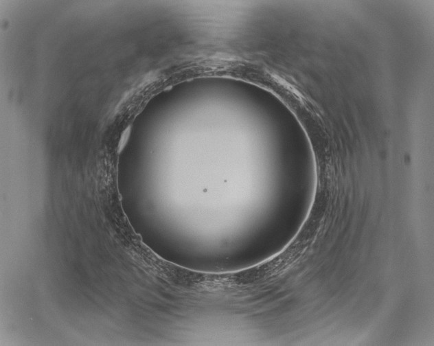 X0000068271447200604211058