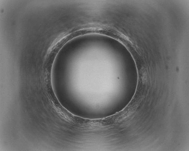 X0000068271448200604211058