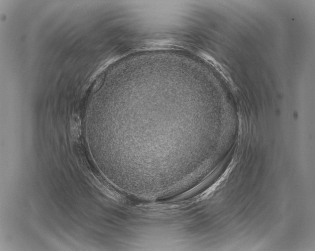 X0000068271449200604211058