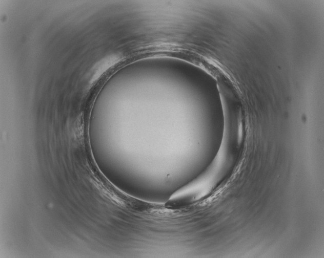 X0000068271450200604211058