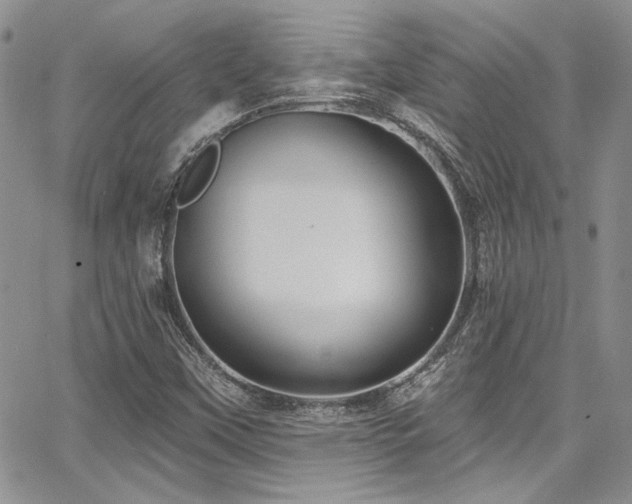 X0000068271451200604211058