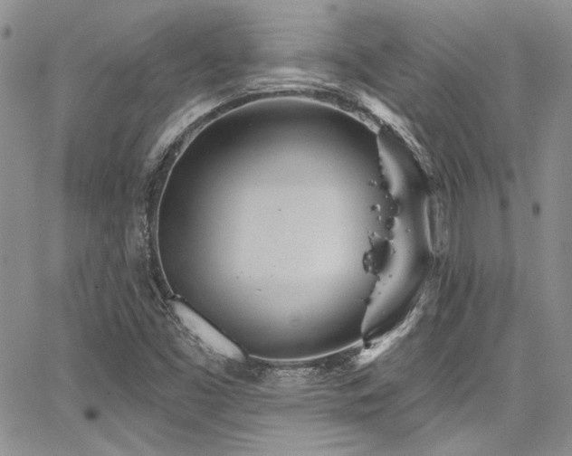 X0000068271453200604211058