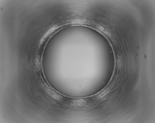 X0000068271454200604211058