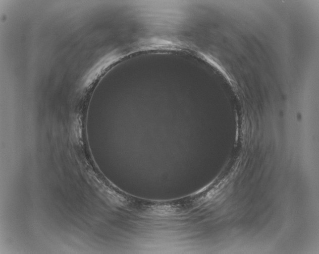 X0000068271455200604211058