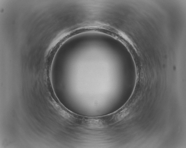 X0000068271456200604211058