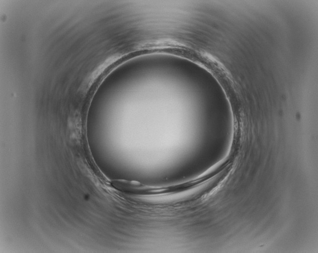 X0000068271457200604211058