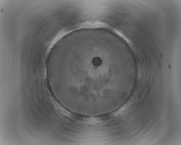 X0000068271459200604211058