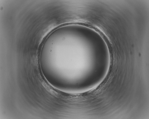 X0000068271460200604211058