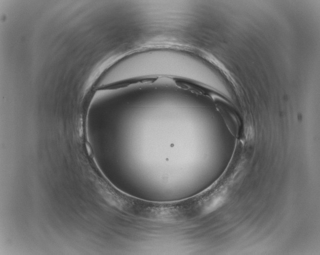 X0000068271461200604211058