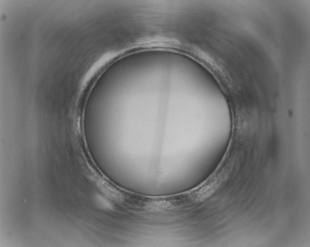 X0000068271462200604211058