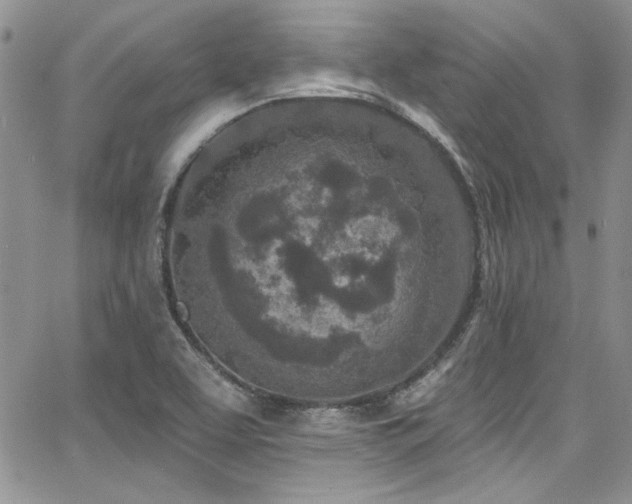 X0000068271463200604211058