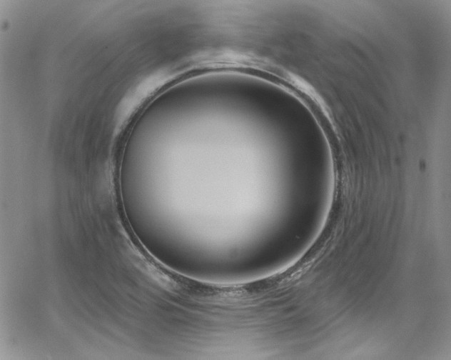 X0000068271464200604211058