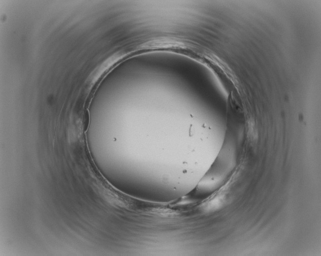 X0000068271465200604211058