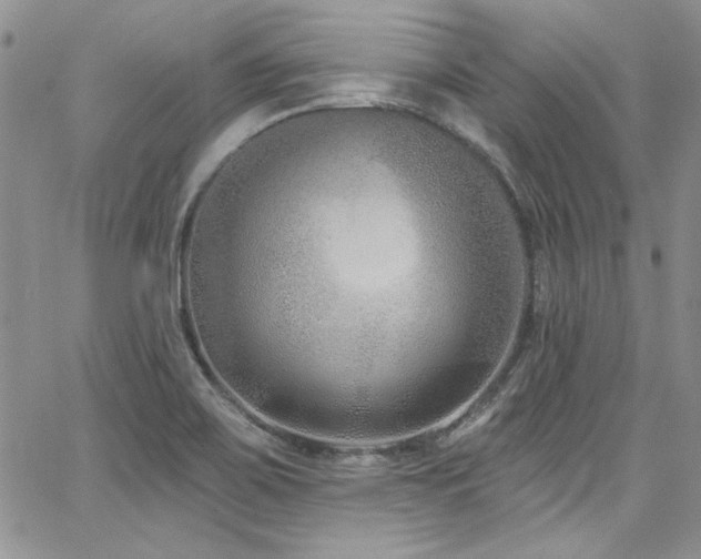 X0000068271467200604211058