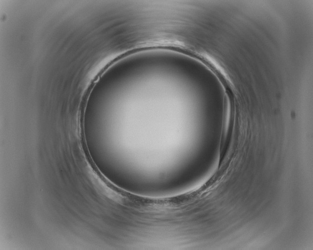 X0000068271468200604211058